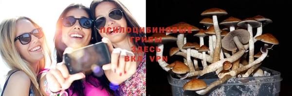 стаф Алексин