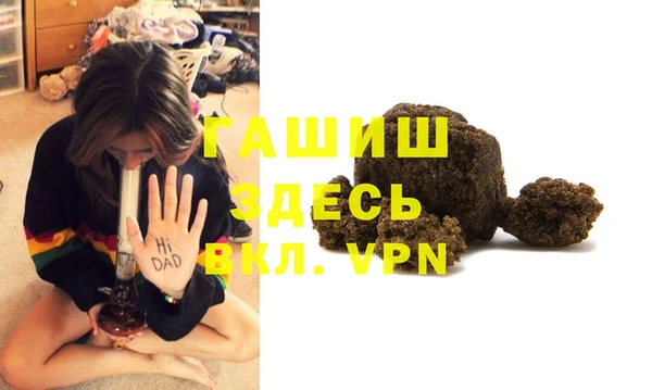 стаф Алексин