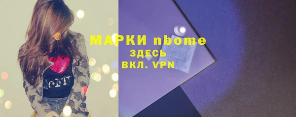 apvp Алзамай