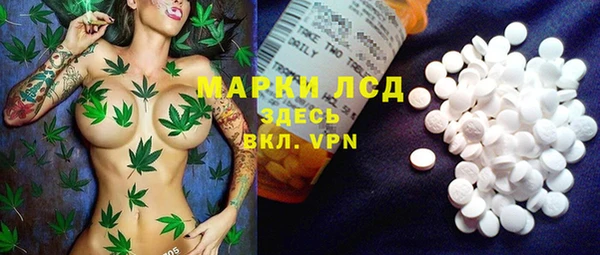 стаф Алексин