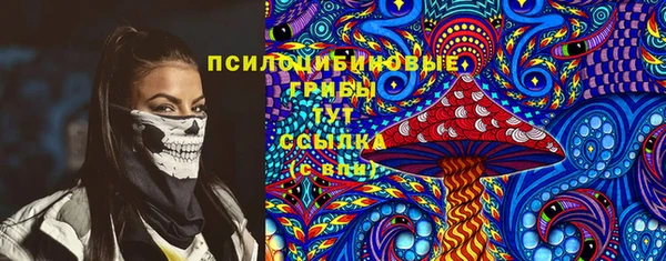 apvp Алзамай