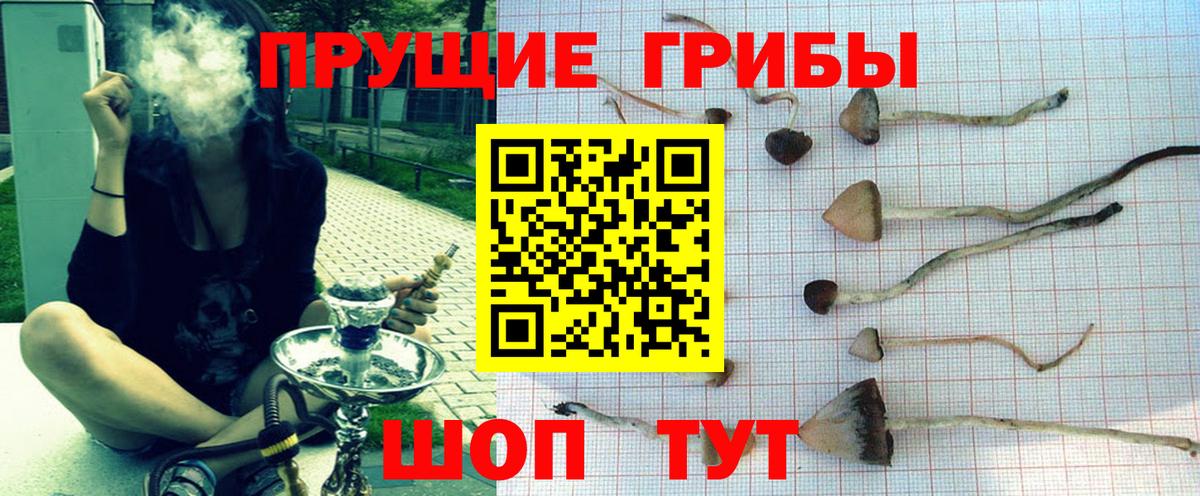 Галлюциногенные грибы Psilocybine cubensis  Вход с VPN  Кохма 