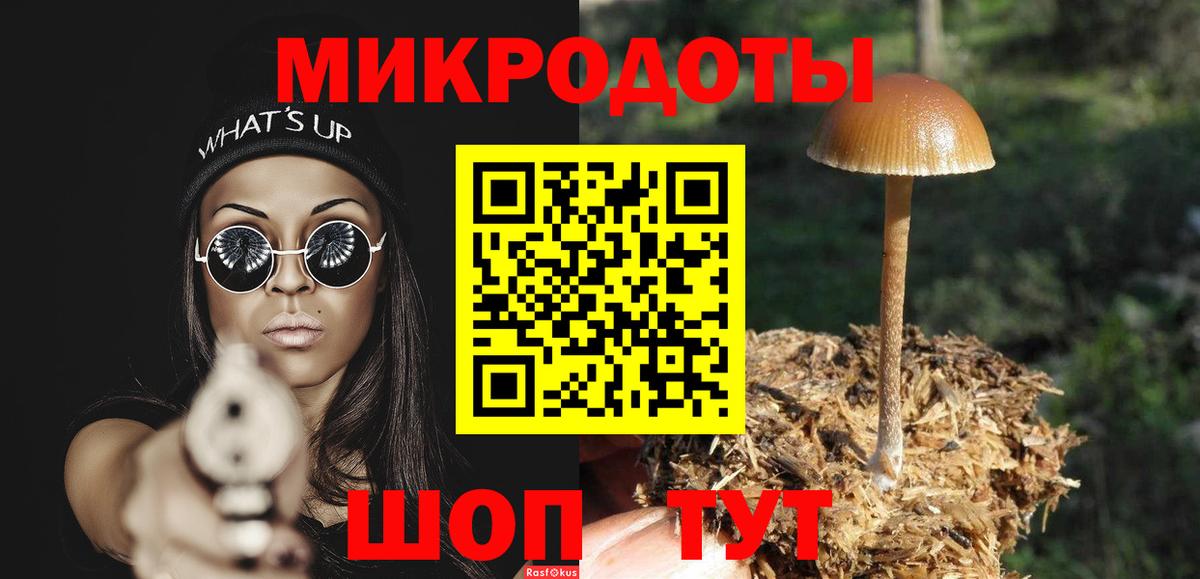 Галлюциногенные грибы прущие грибы Кохма