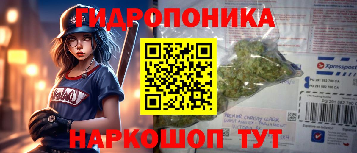 Кохма  Шишки марихуана OG Kush  Вход с VPN  Каннабис семена  Марихуана план 